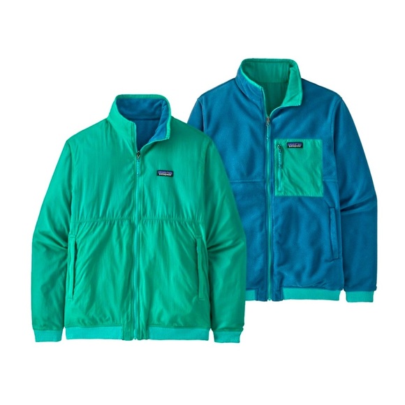 Patagonia Other - NWT Patagonia Microdini Reversible Jacket